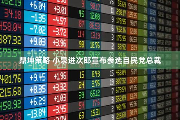 鼎坤策略 小泉进次郎宣布参选自民党总裁