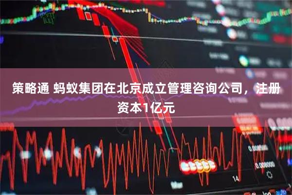 策略通 蚂蚁集团在北京成立管理咨询公司，注册资本1亿元