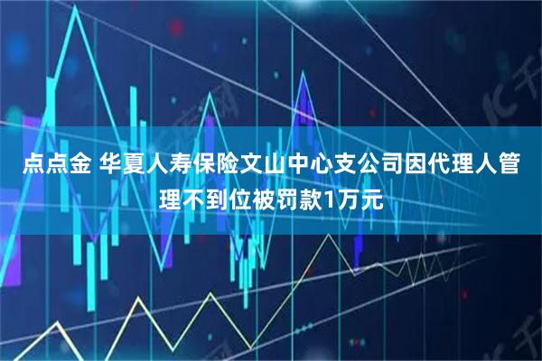 点点金 华夏人寿保险文山中心支公司因代理人管理不到位被罚款1万元