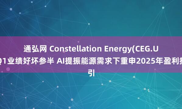 通弘网 Constellation Energy(CEG.US)Q1业绩好坏参半 AI提振能源需求下重申2025年盈利指引