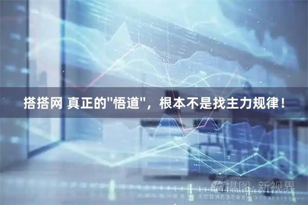 搭搭网 真正的''悟道''，根本不是找主力规律！