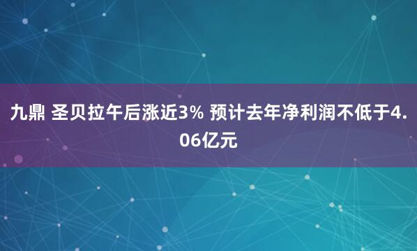 九鼎 圣贝拉午后涨近3% 预计去年净利润不低于4.06亿元