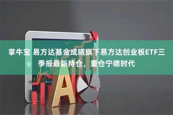 掌牛宝 易方达基金成曦旗下易方达创业板ETF三季报最新持仓，重仓宁德时代