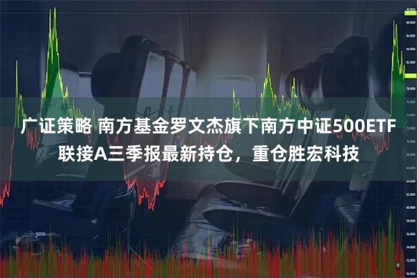 广证策略 南方基金罗文杰旗下南方中证500ETF联接A三季报最新持仓,重仓胜宏科技